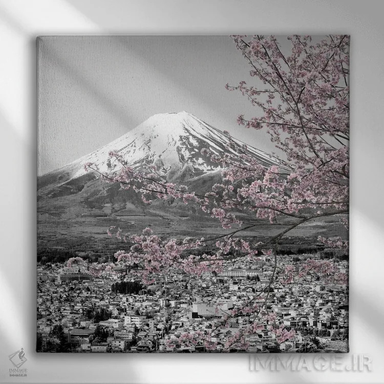 تابلو دکوراتیو منظره دل انگیز فوجی در فصل شکوفه های گیلاس اثر ملانی ویولا - نمای روبهرو روی دیوار