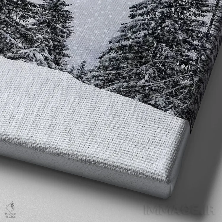 تابلو دکوراتیو قصه زمستان باواریا: نمازخانه آنا اثر ملانی ویولا - نمای نزدیک بافت بوم