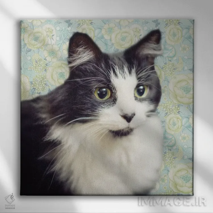 تابلو دکوراتیو گربه روی طرح پیزلی اثر اندی متز - نمای روبهرو روی دیوار