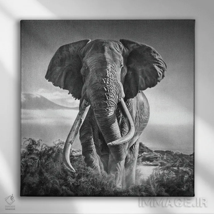 تابلو دکوراتیو غول پیکر اثر میرو گراباورشاک - نمای روبهرو روی دیوار