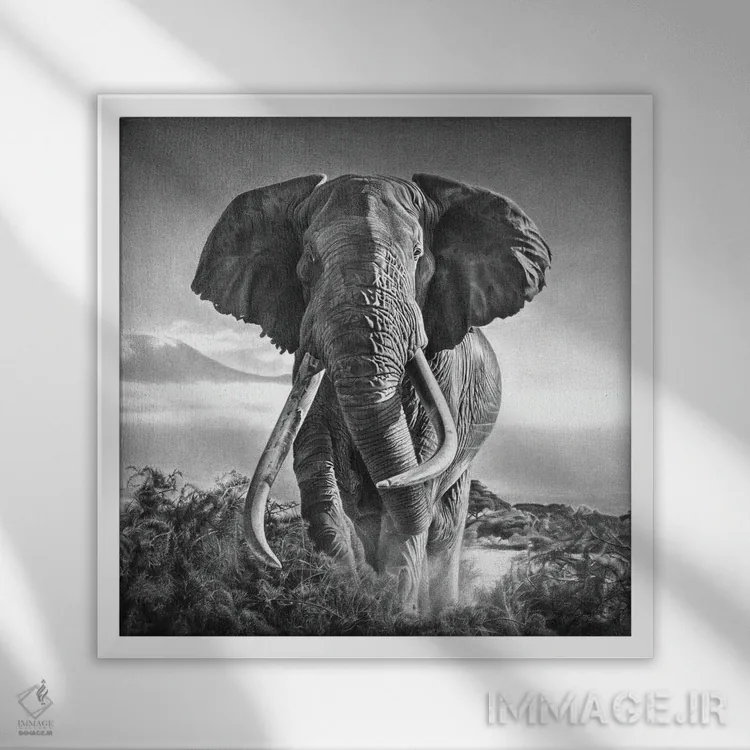 تابلو دکوراتیو غول پیکر اثر میرو گراباورشاک - نمای قابدار سفید