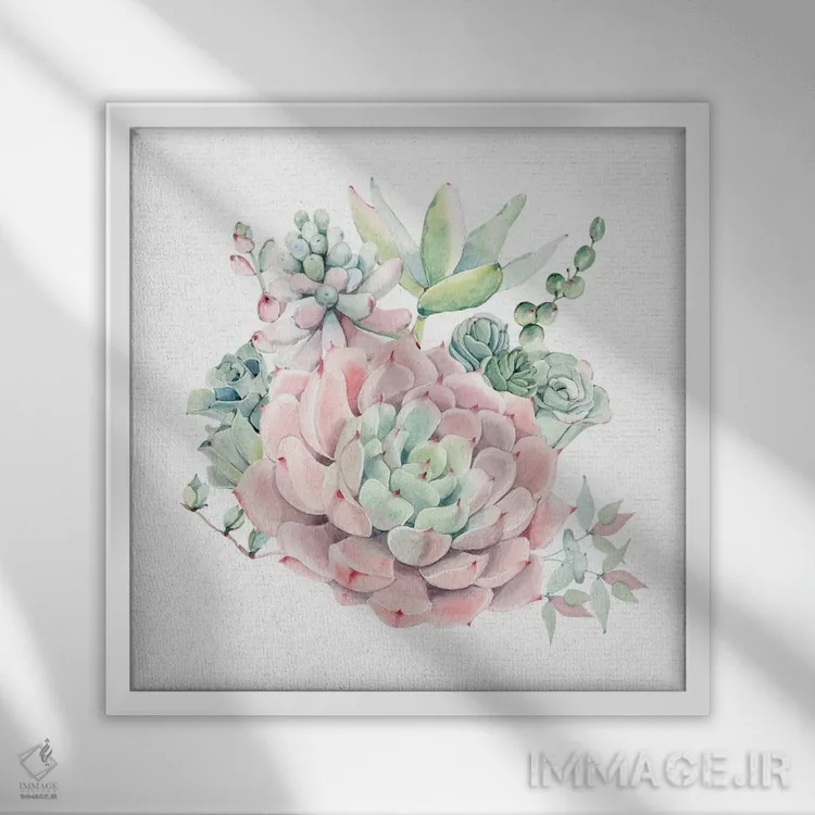 تابلو دکوراتیو ساکولنت های گلدار جنوب غربی II اثر نیچر مجیک - نمای قابدار سفید
