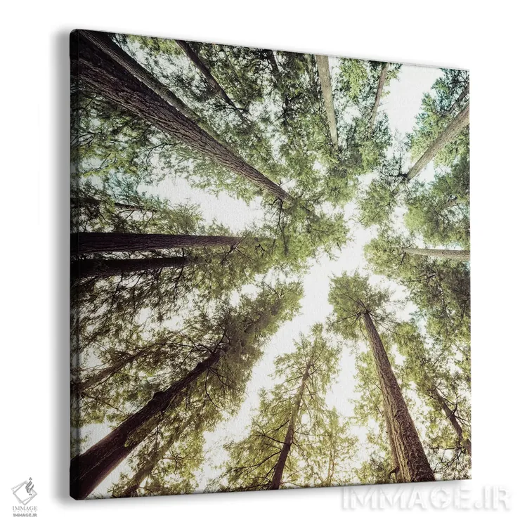 تابلو دکوراتیو مربع آسمان جنگل اثر نیچر مجیک - نمای پرسپکتیو محصول