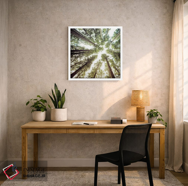 تابلو دکوراتیو مربع آسمان جنگل اثر نیچر مجیک - D4W