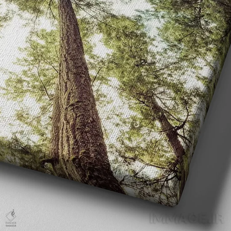 تابلو دکوراتیو آسمان و درختان جنگل اثر نیچر مجیک - نمای نزدیک بافت بوم