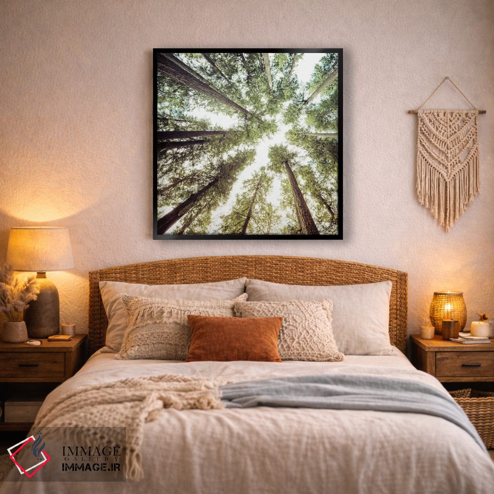 تابلو دکوراتیو آسمان و درختان جنگل اثر نیچر مجیک - D3B