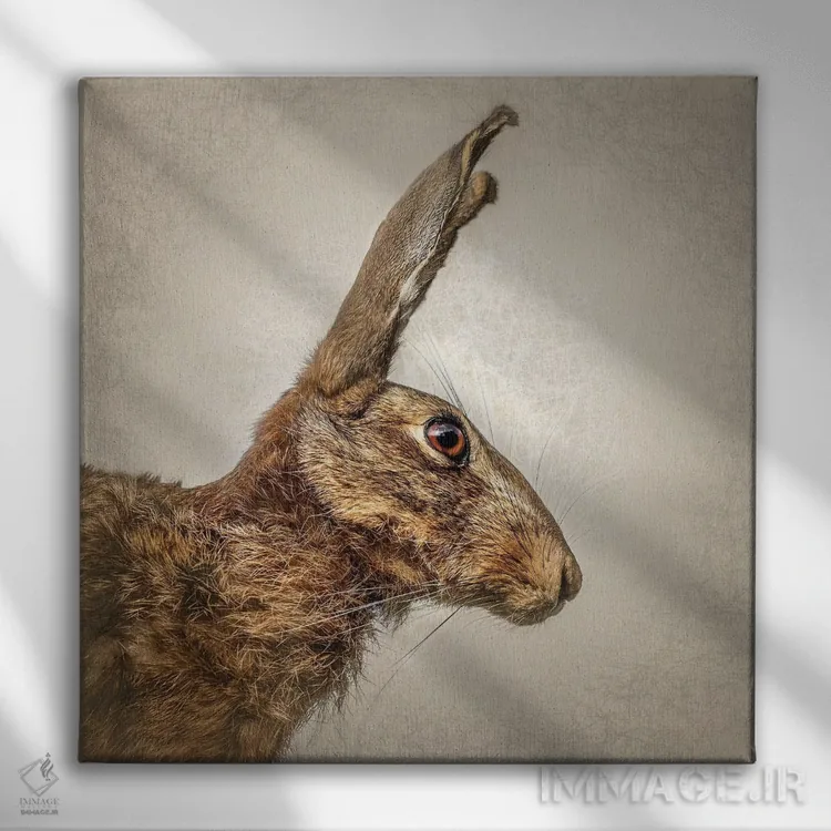 تابلو دکوراتیو خرگوش صحرایی اثر مارک جمل - نمای روبهرو روی دیوار
