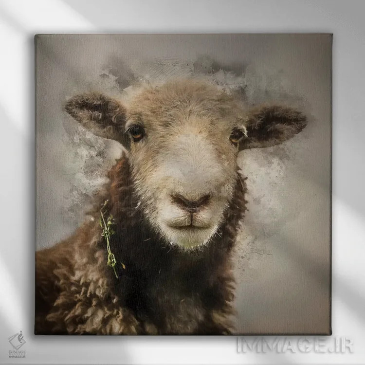 تابلو دکوراتیو نژاد گوسفند هردویک اثر مارک جمل - نمای روبهرو روی دیوار