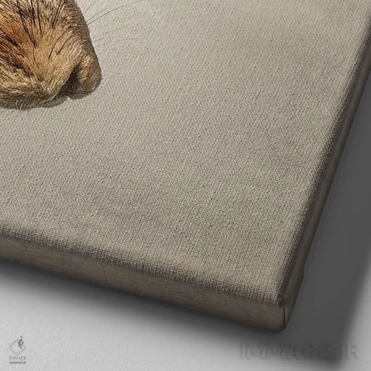 تابلو دکوراتیو خرگوش صحرایی اثر مارک جمل - نمای نزدیک بافت بوم