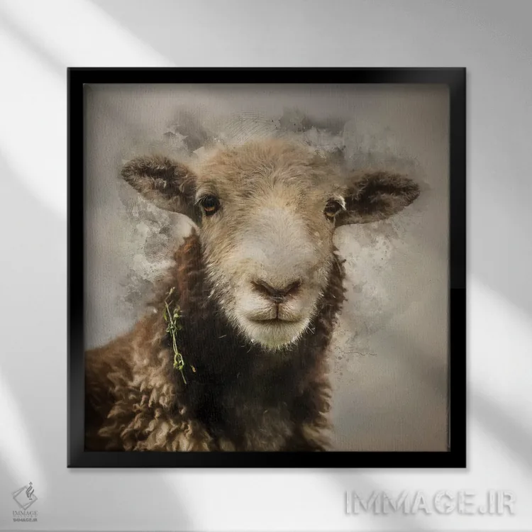تابلو دکوراتیو نژاد گوسفند هردویک اثر مارک جمل - نمای قابدار مشکی