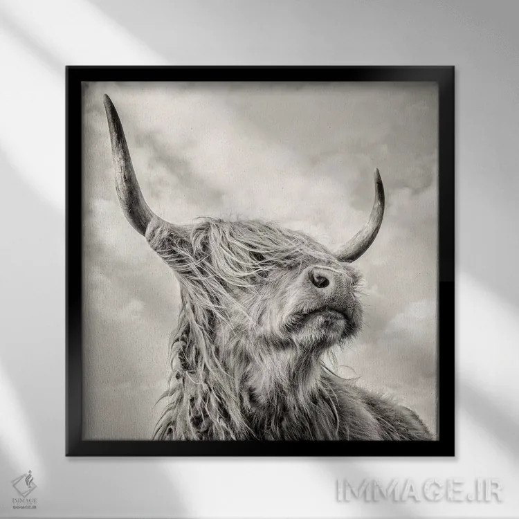 تابلو مدرن شکوه I اثر مارک جمل - نمای قابدار مشکی