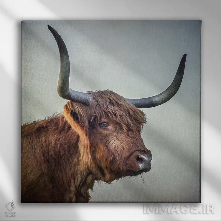 تابلو مدرن دختر چشم آبی اثر مارک جمل - نمای روبهرو روی دیوار