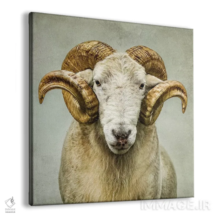 تابلو مدرن خیره شدن اثر مارک جمل - نمای پرسپکتیو محصول