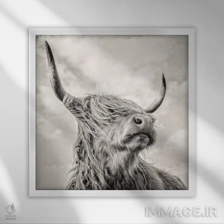 تابلو مدرن شکوه I اثر مارک جمل - نمای قابدار سفید