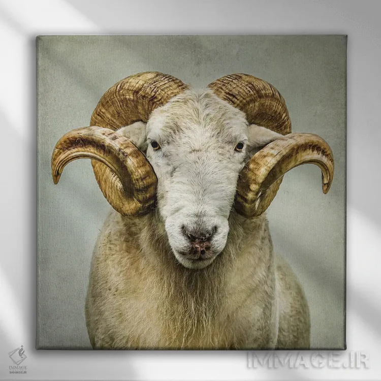 تابلو مدرن خیره شدن اثر مارک جمل - نمای روبهرو روی دیوار