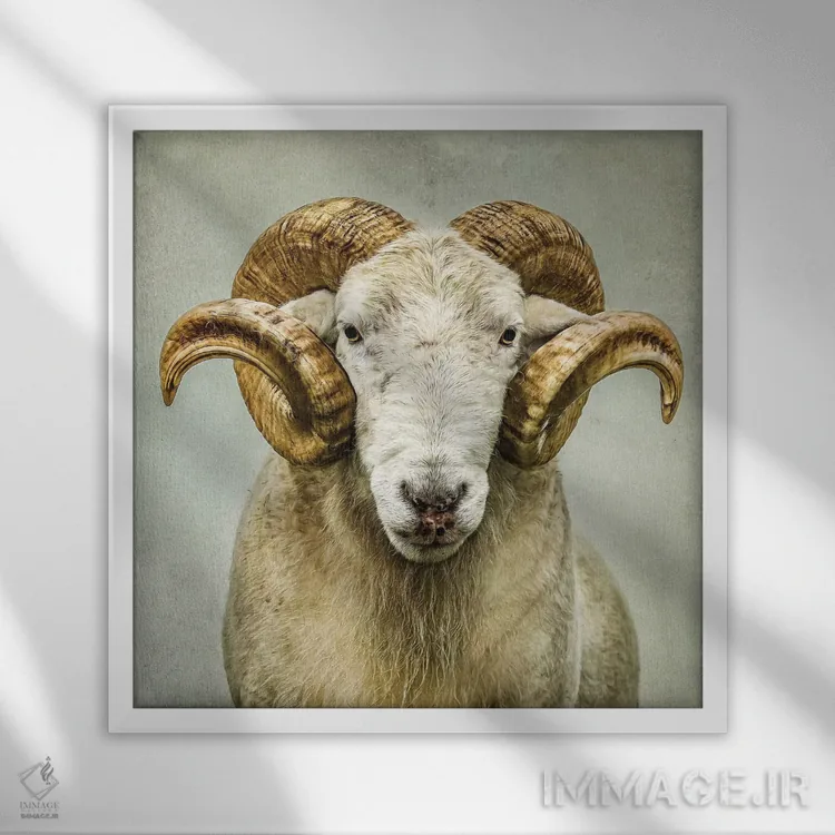 تابلو مدرن خیره شدن اثر مارک جمل - نمای قابدار سفید