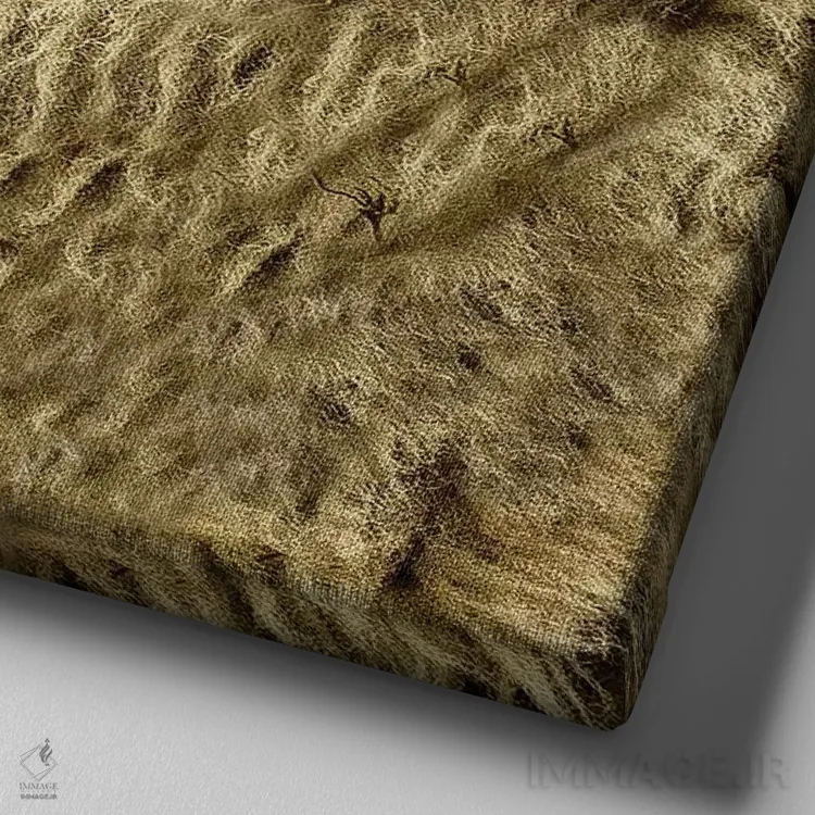 تابلو مدرن بانو اثر مارک جمل - نمای نزدیک بافت بوم