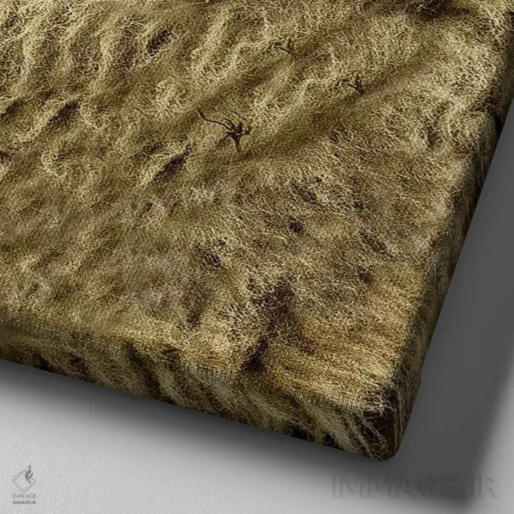 تابلو مدرن بانو اثر مارک جمل - نمای نزدیک بافت بوم