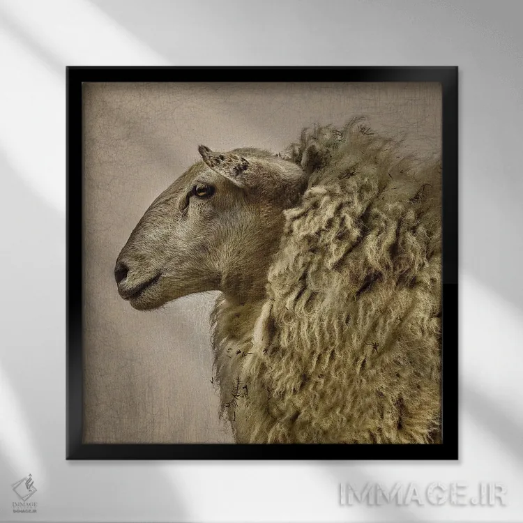 تابلو مدرن بانو اثر مارک جمل - نمای قابدار مشکی