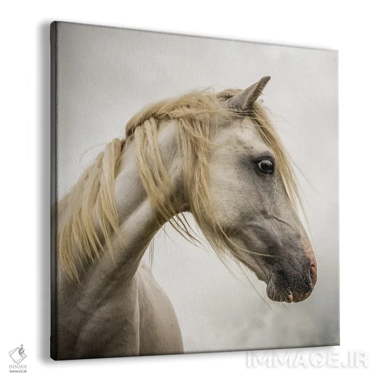 تابلو دکوراتیو اسب وحشی اثر مارک جمل - نمای پرسپکتیو محصول