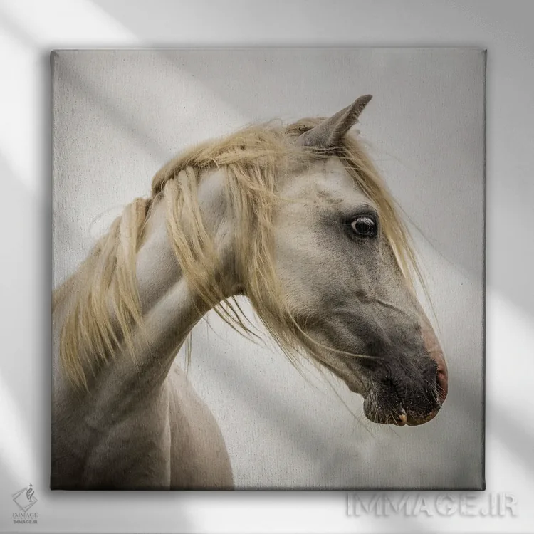 تابلو دکوراتیو اسب وحشی اثر مارک جمل - نمای روبهرو روی دیوار