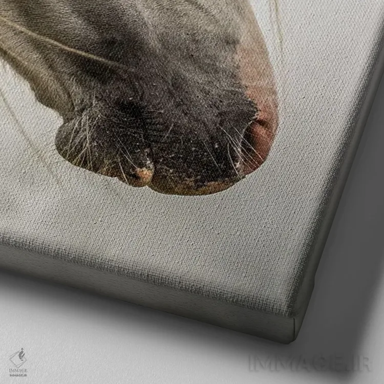 تابلو دکوراتیو اسب وحشی اثر مارک جمل - نمای نزدیک بافت بوم