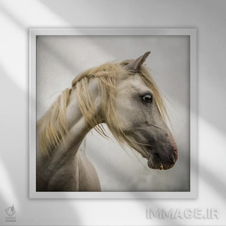 تابلو دکوراتیو اسب وحشی اثر مارک جمل - نمای قابدار سفید
