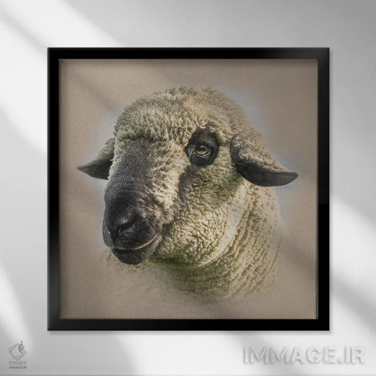 تابلو دکوراتیو گوسفند همپشایر داون اثر مارک جمل - نمای قابدار مشکی