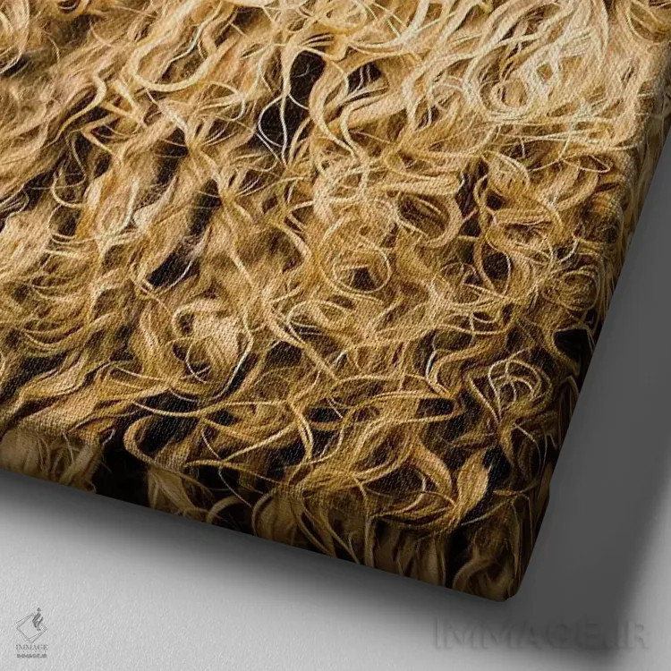 تابلو مدرن فرفری I اثر مارک جمل - نمای نزدیک بافت بوم