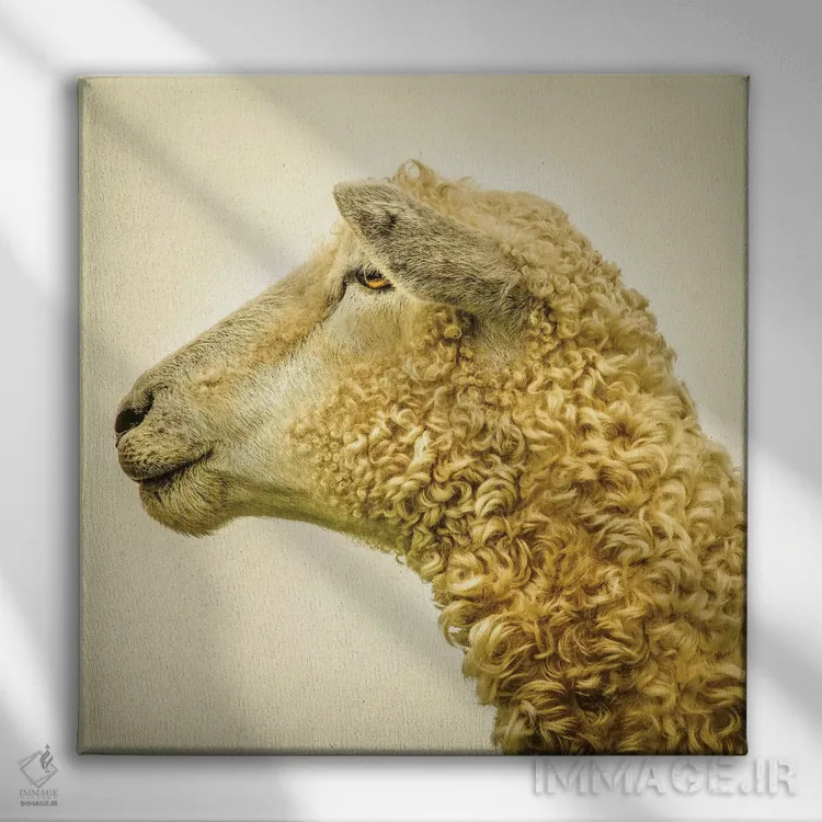 تابلو مدرن فرفری II اثر مارک جمل - نمای روبهرو روی دیوار