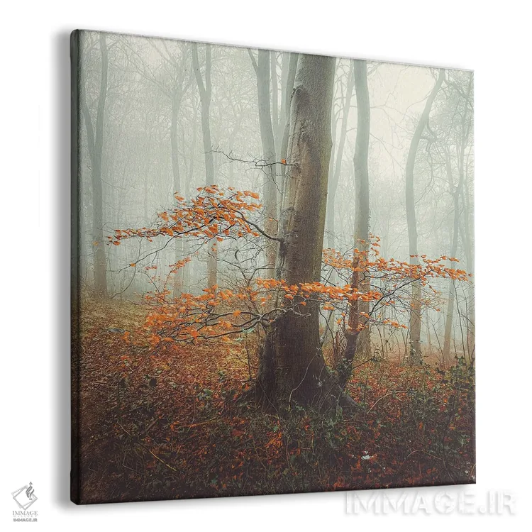 تابلو دکوراتیو مه پاییزی اثر مارک جمل - نمای پرسپکتیو محصول