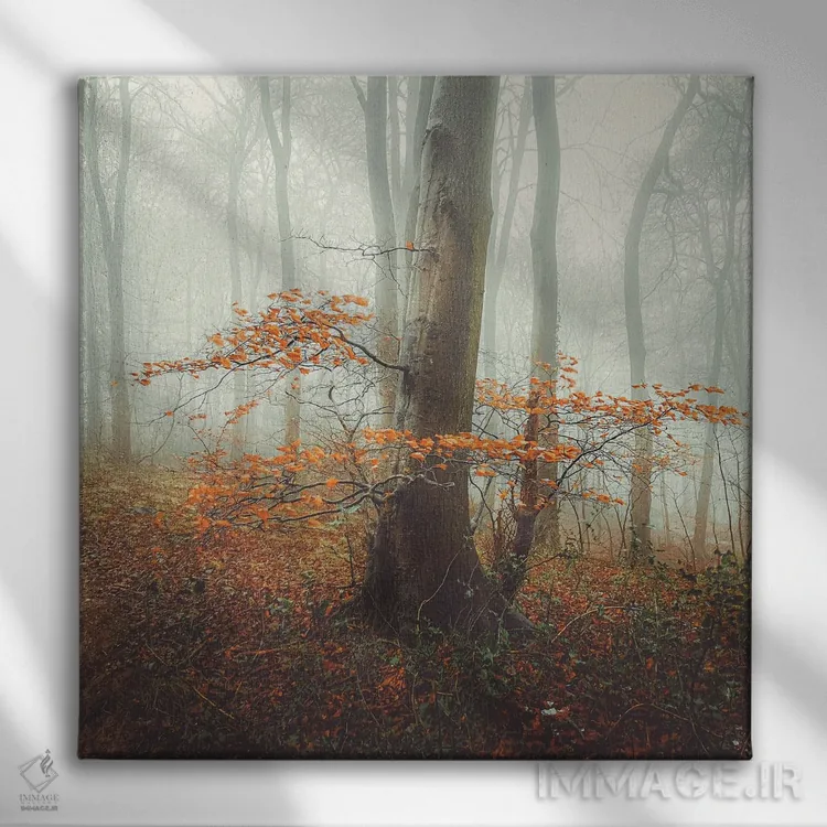 تابلو دکوراتیو مه پاییزی اثر مارک جمل - نمای روبهرو روی دیوار