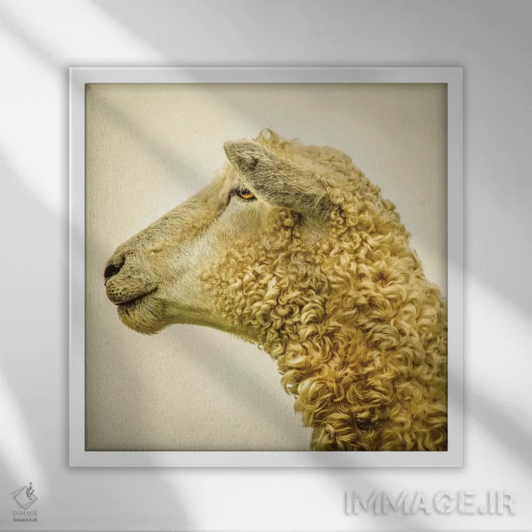 تابلو مدرن فرفری II اثر مارک جمل - نمای قابدار سفید