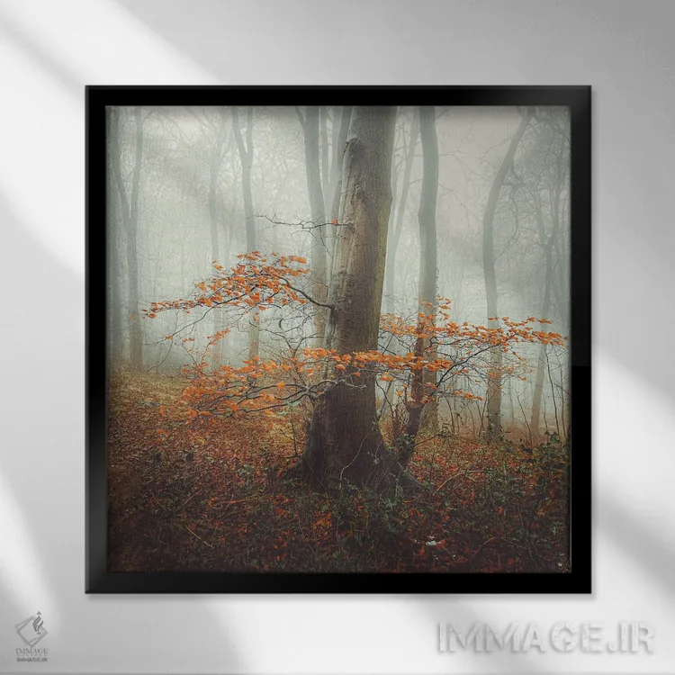 تابلو دکوراتیو مه پاییزی اثر مارک جمل - نمای قابدار مشکی
