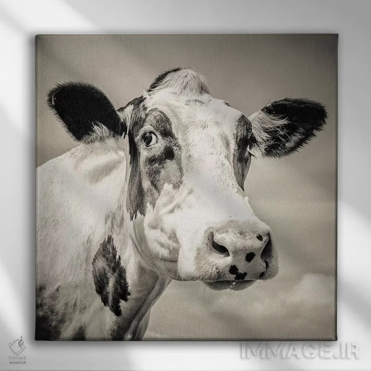 تابلو مدرن فرزیان I اثر مارک جمل - نمای روبهرو روی دیوار