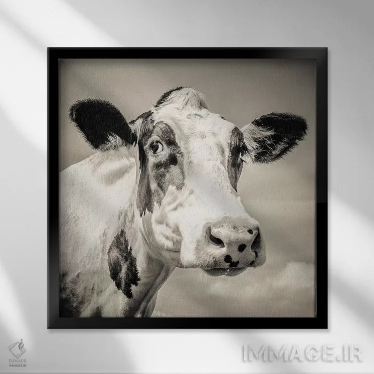 تابلو مدرن فرزیان I اثر مارک جمل - نمای قابدار مشکی