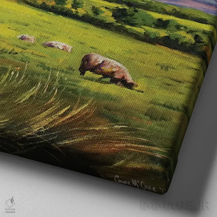 تابلو دکوراتیو County Mayo" گوسفندان روی کوه نفین، شهرستان مایو اثر کانر مک گوایر - نمای نزدیک بافت بوم