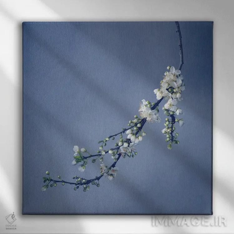 تابلو دکوراتیو شکوفه اثر مایکل فرانک - نمای روبهرو روی دیوار