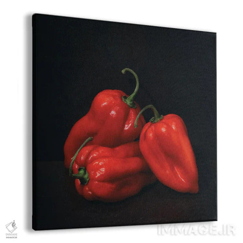 تابلو دکوراتیو استادان هلندی VII اثر مایکل فرانک - نمای پرسپکتیو محصول