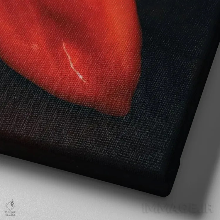 تابلو دکوراتیو استادان هلندی VII اثر مایکل فرانک - نمای نزدیک بافت بوم