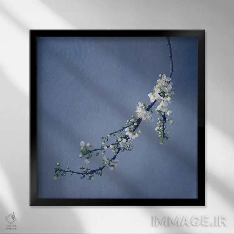تابلو دکوراتیو شکوفه اثر مایکل فرانک - نمای قابدار مشکی