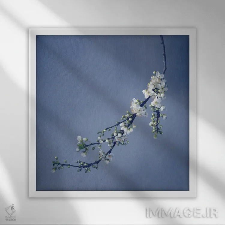 تابلو دکوراتیو شکوفه اثر مایکل فرانک - نمای قابدار سفید