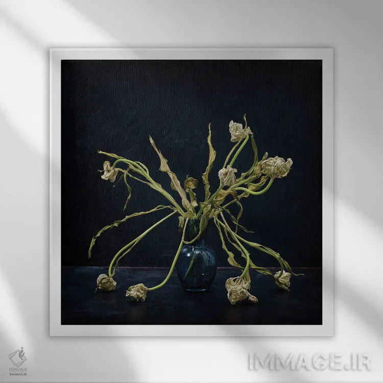 تابلو دکوراتیو استادان هلندی XIX اثر مایکل فرانک - نمای قابدار سفید