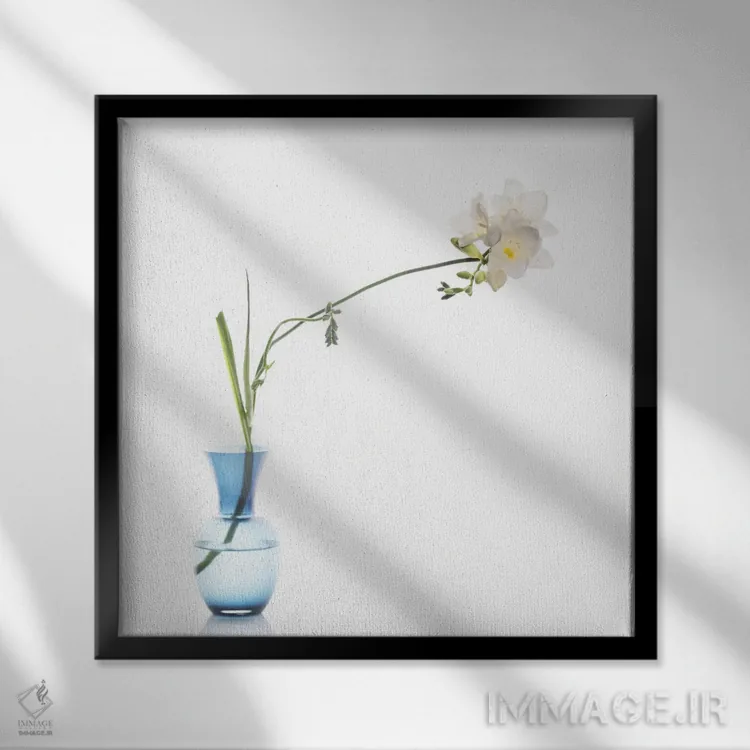 تابلو دکوراتیو فریسیا اثر مایکل فرانک - نمای قابدار مشکی