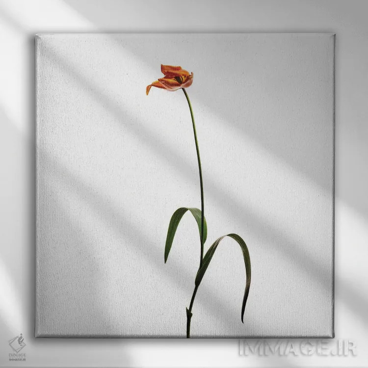 تابلو دکوراتیو لاله VIII اثر مایکل فرانک - نمای روبهرو روی دیوار