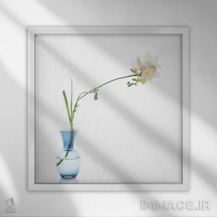 تابلو دکوراتیو فریسیا اثر مایکل فرانک - نمای قابدار سفید