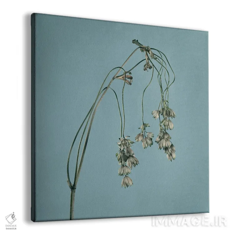 تابلو دکوراتیو فرسودگی XXVI اثر مایکل فرانک - نمای پرسپکتیو محصول