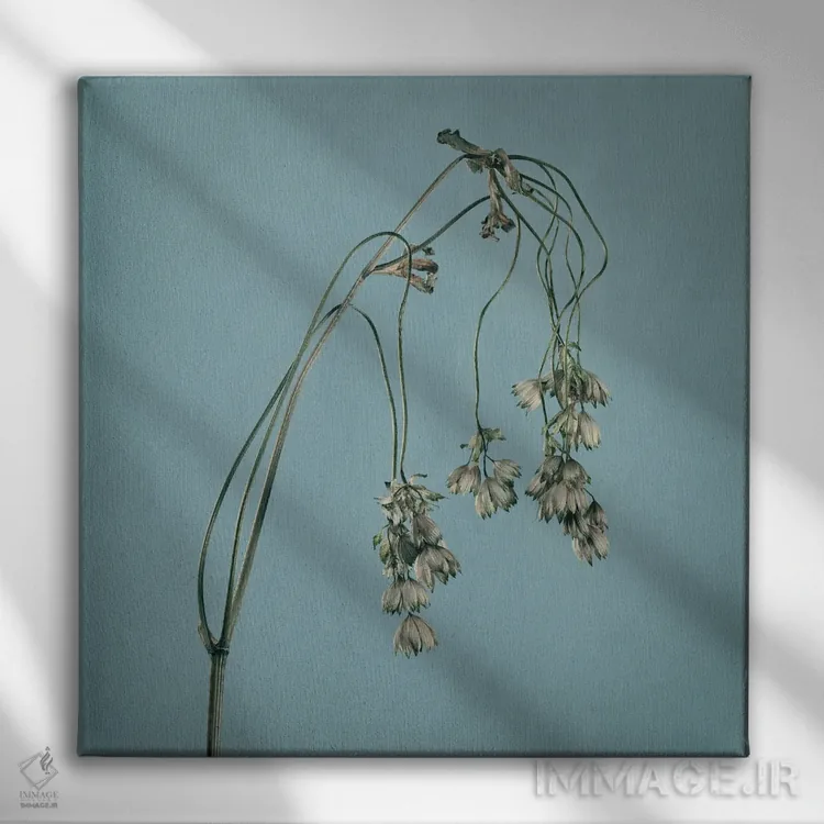 تابلو دکوراتیو فرسودگی XXVI اثر مایکل فرانک - نمای روبهرو روی دیوار