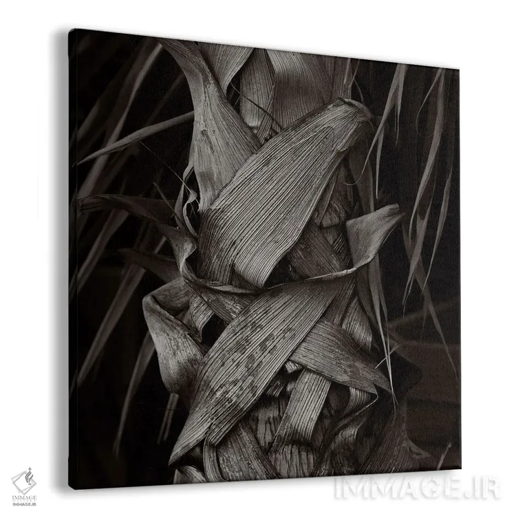 تابلو دکوراتیو باغ های کیو I-A اثر مایکل فرانک - نمای پرسپکتیو محصول