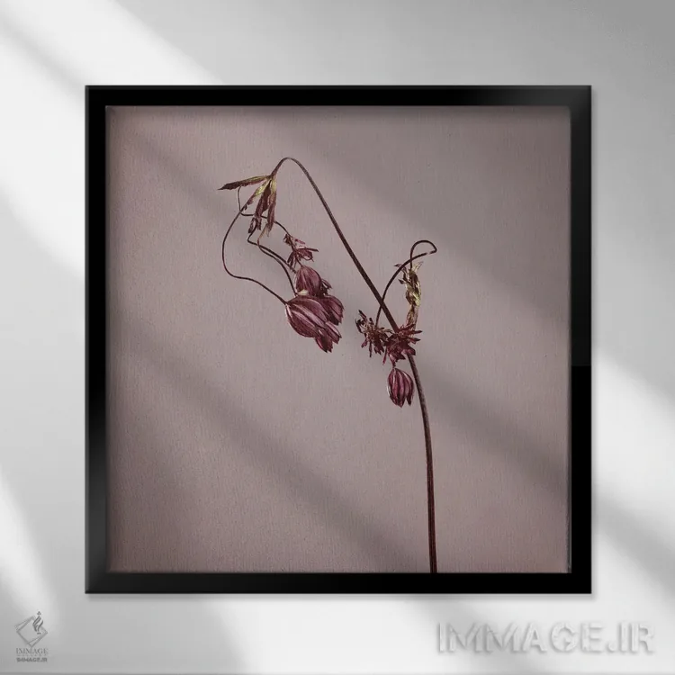 تابلو دکوراتیو فرسودگی XXVII اثر مایکل فرانک - نمای قابدار مشکی